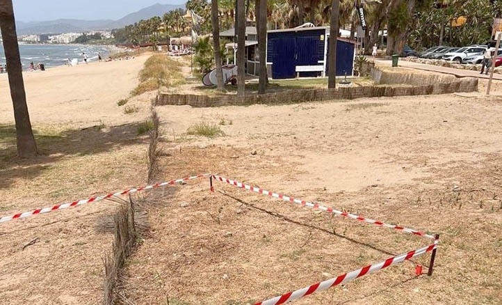Denuncian la destrucción de dunas en la playa de Río Real de Marbella