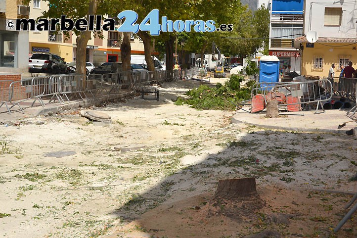 El Ayuntamiento retoma las talas en la avenida del Trapiche de Marbella