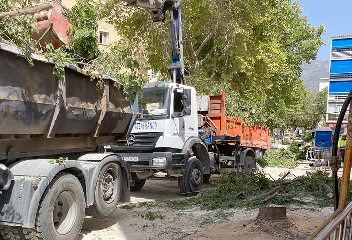 IU critica la "tala despiadada" de árboles en la avenida del Trapiche