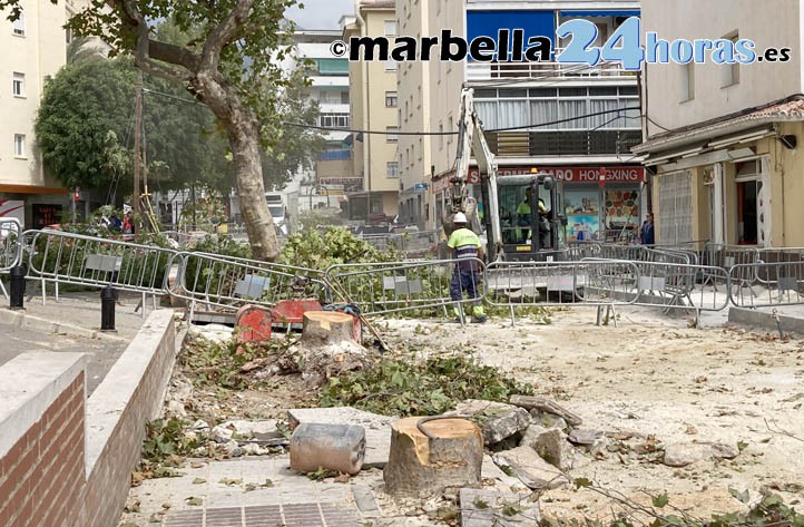 El Ayuntamiento insiste en talar árboles en la avenida del Trapiche de Marbella