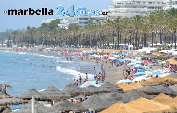 Las playas de Marbella se encuentran llenas de medusas este miércoles