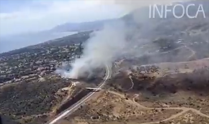 Declarado un incendio forestal en el paraje de Elviria en Marbella