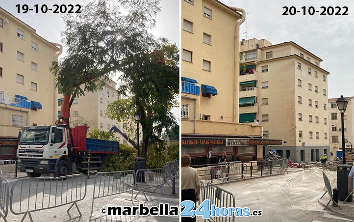 Nueva tala de árboles en la avenida del Trapiche de Marbella
