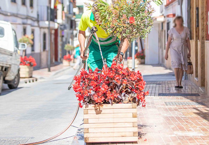 Marbella firma un contrato millonario en flores con Viveros Guzmán
