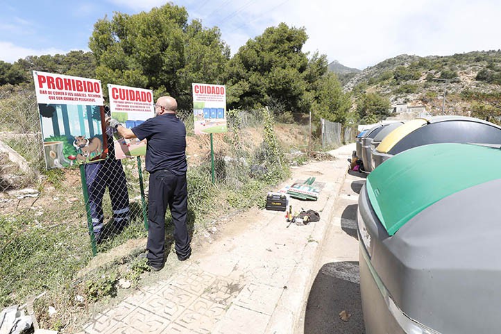 Marbella intenta frenar la presencia de jabalíes con paneles informativos
