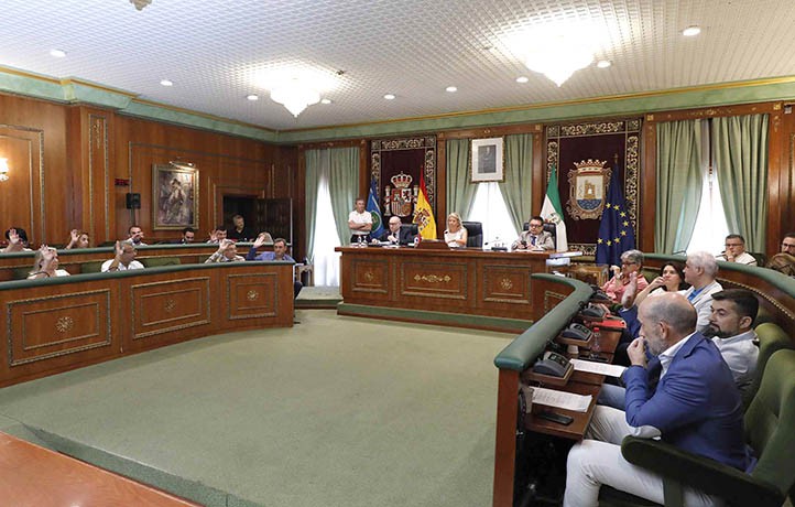 El Pleno de Marbella aprueba 30.000 euros para el órgano de La Encarnación
