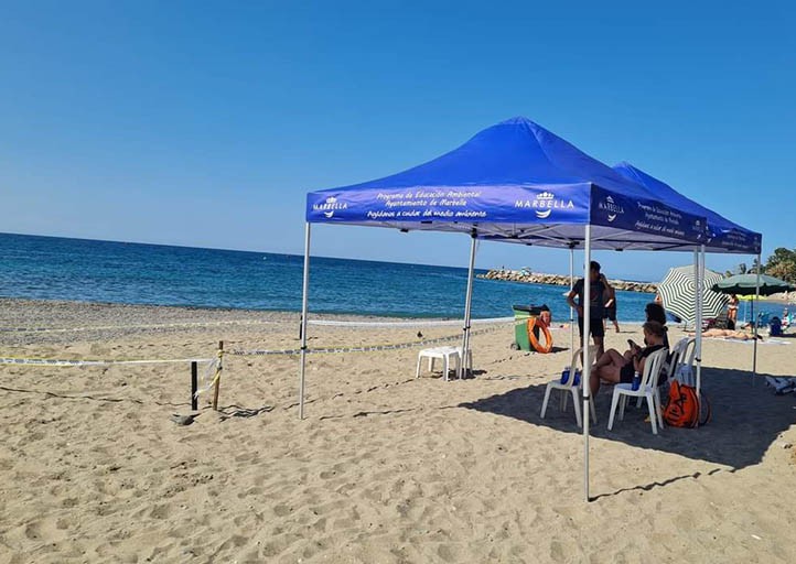 Marbella busca voluntarios para vigilar el nido de tortuga boba