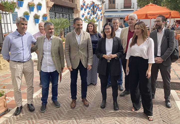 El PSOE pide a la alcaldesa de Marbella que "no sea sumisa" ante la Junta