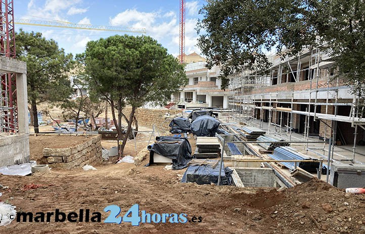 Denuncian ante el Defensor del Pueblo una tala de árboles en Marbella