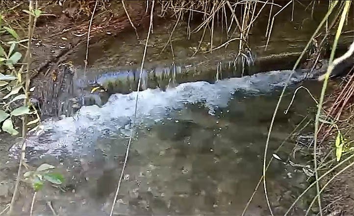 Ecologistas critican que Acosol no ataje una fuga de millones de litros de agua