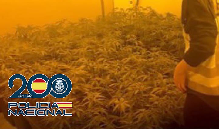Cae una banda que utilizaba villas de lujo en Marbella para cultivar droga