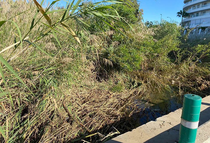 El PSOE pide al Ayuntamiento que limpie el cauce del río Guadaiza en San Pedro