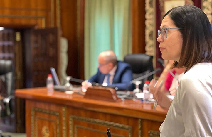 PP y Vox rechazan que se estudie si Marbella es zona residencial tensionada