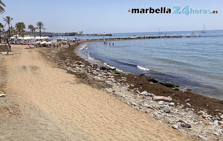 La alcaldesa de Marbella luce banderas azules con las playas cada vez peor