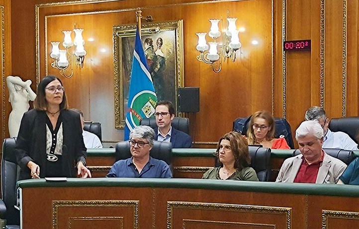 Marbella vuelve a aprobar una oficina para la rehabilitación de viviendas