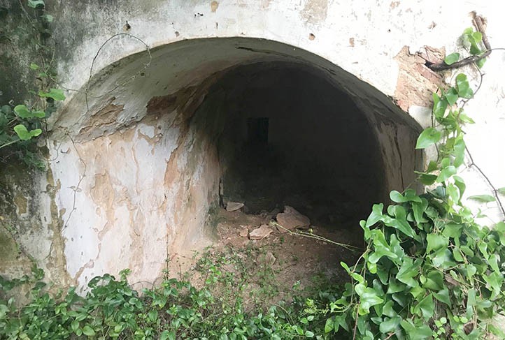 Dos jornadas de limpieza y desbroce en el molino de Guadalpín en Marbella
