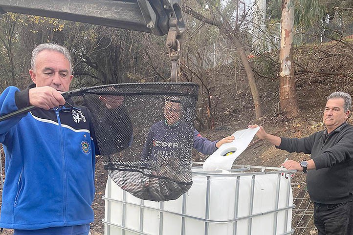 Trasladan peces y tortugas del pantano de Las Medranas por las obras