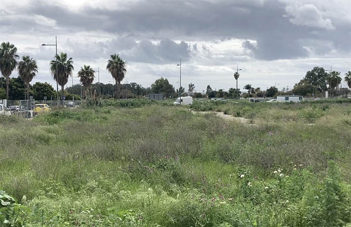 Un promotor quiere construir viviendas de alquiler tasado en Marbella