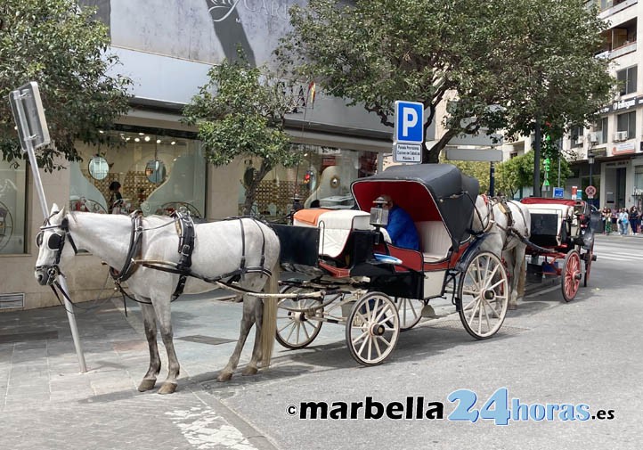 Piden al Ayuntamiento de Marbella que elimine los coches de caballos