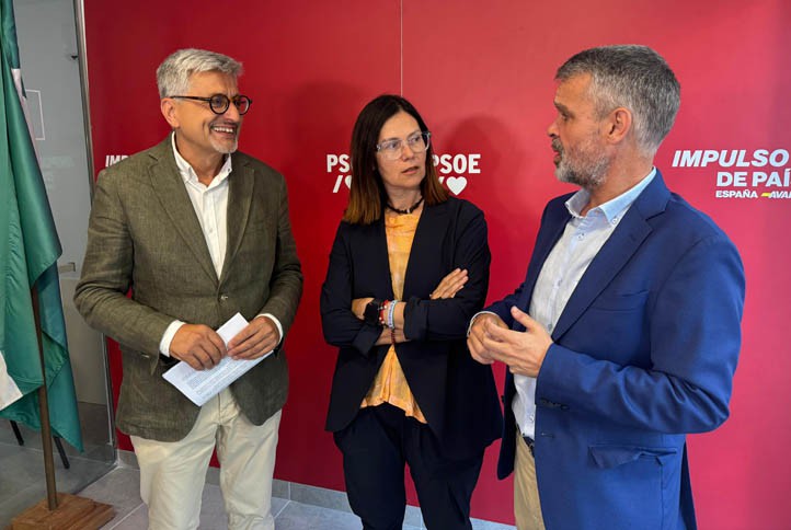 El PSOE destaca la inversión en Marbella del Gobierno contra el ruido de la AP-7