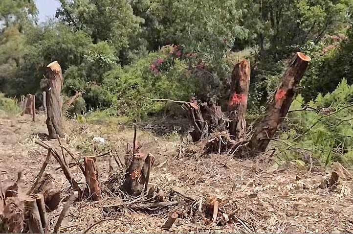 La renaturalización del río Guadaiza en San Pedro arranca llena de polémica