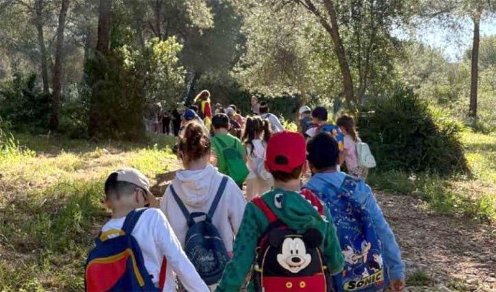 Campaña de educación ambiental en Marbella mientras proliferan las talas