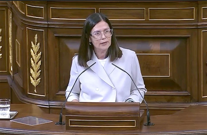 Isabel Pérez critica en el Congreso la política de vivienda del PP en Marbella
