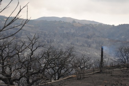 El incendio calcina 8.225 hectáreas, según el informe oficial del Infoca