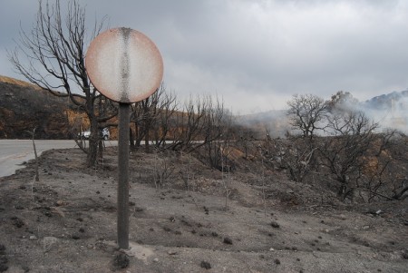 IU propone una red de alerta temprana para prevenir incendios