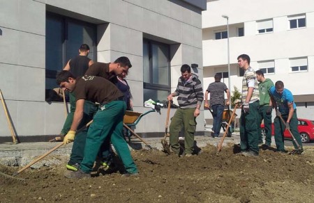 Alumnos de jardinería del IES Salduba harán prácticas en el Centro Social de San Pedro Alcántara
