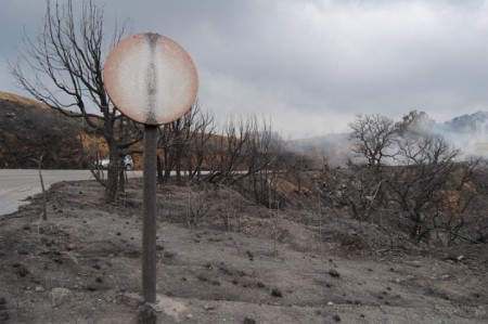Comienza la reforestación de las zonas quemadas por el incendio con técnicas pioneras en España