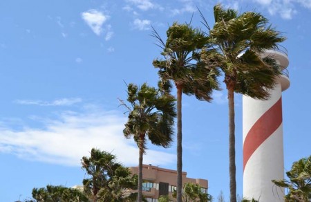 La AEMET activa este viernes la alerta amarilla por vientos fuertes