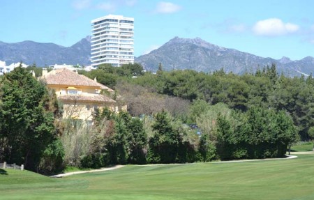 Marbella se suma al Día del Medio Ambiente con varias conferencias