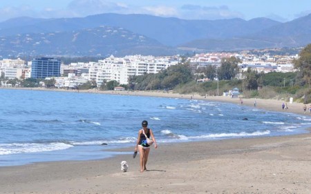 El Ayuntamiento insiste en la vigilancia a los dueños de perros