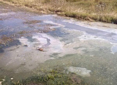 OSP vuelve a denunciar vertidos fecales en la zona de Fuente Nueva