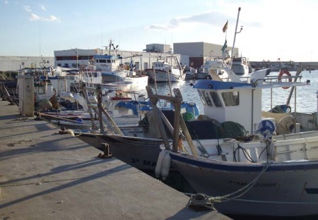La Junta de Andalucía otorga a la Cofradía de Pescadores de Marbella la concesión de la lonja