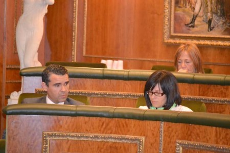 El PSOE exige a la alcaldesa que explique cómo se están elaborando los presupuestos para 2014