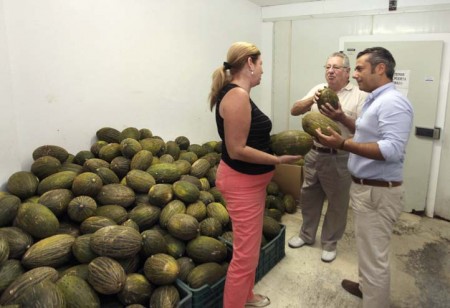 Bancosol y Aspandem reciben fruta incautada en la venta ilegal