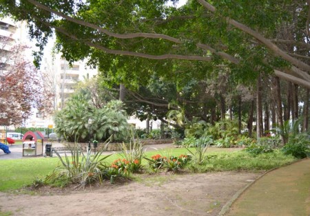 Izquierda Unida reclama unas condiciones dignas para los trabajadores de Parques y Jardines