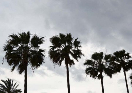 Activada la alerta amarilla por vientos fuertes en la Costa del Sol