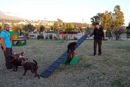 Ayuntamiento y Junta se reunirán para mejorar el Parque de los Tres Jardines