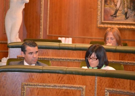 El PSOE critica la precaria situación de la piscina municipal de Marbella