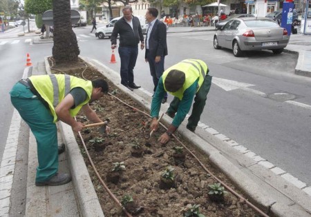 Marbella se embellece para la Semana Santa con 18.000 plantas