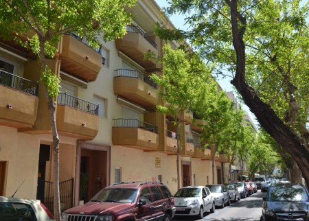 La Fiscalía abre diligencias sobre la tala de árboles en Marbella
