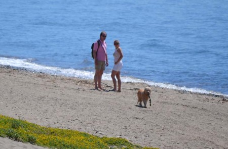 El Ayuntamiento intensifica la vigilancia a los dueños de perros