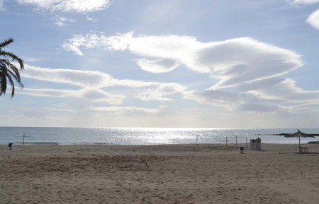 El PSOE pide que se instalen en las playas redes contra las medusas