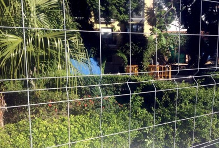 IU pide que no se destruya la histórica plaza de José Agüera