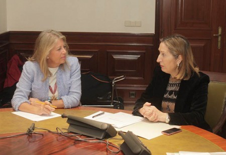 El estudio del Cercanías a Marbella se presentará antes de las elecciones