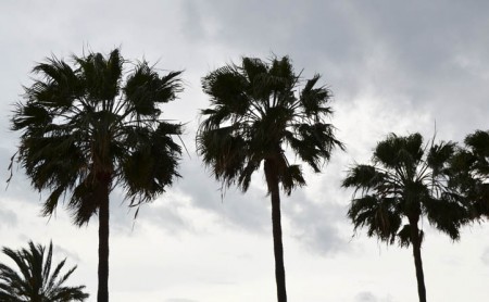 Meteorología activa la alerta amarilla por fuertes rachas de viento