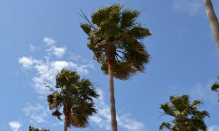 Meterología activa la alerta amarilla por fuerte viento y olas